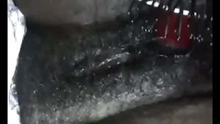 Candi Neman and the brush brush